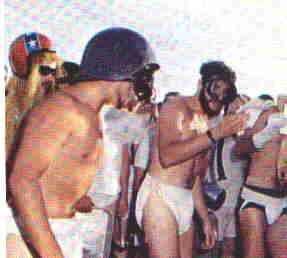 pollywogs in diapers